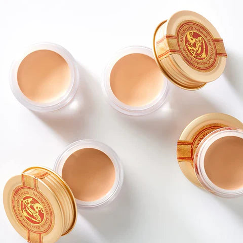 SKINFOOD SALMON DARKCIRCLE CONCEALER CREAM 01 BLOOMING