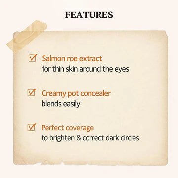SKINFOOD SALMON DARKCIRCLE CONCEALER CREAM 01 BLOOMING